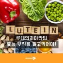 루테인지아잔틴 효능 부작용 알고 먹어야!