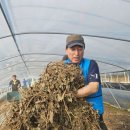 4공주농장 이미지