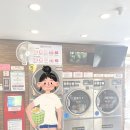 홍도세탁소 이미지