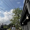 명월 | 내돈내산 제주 서쪽 협재해수욕장, 판포포구 근처 숙소 “달빛명월” 후기