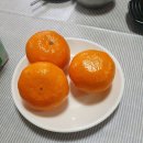 연정낚시터 이미지