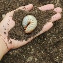 바이오하나주식회사 이미지