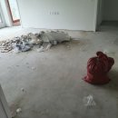 월산마을8단지 부영아파트(장유16차) 이미지