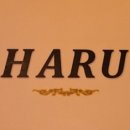 하루(HARU) 이미지