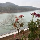 대지-걷기 이미지