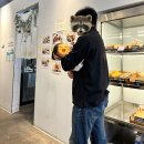 더블유카페앤드연어로만 | 대전 도안동 ‘앤드앤드앤드’ 카페