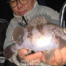 그린낚시 이미지