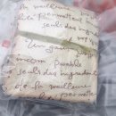 삼단변신미스홍 이미지