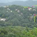 감나무식당 이미지