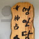 유박사