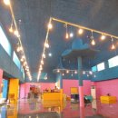 견생맛집 이미지