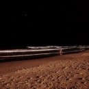 파라다이스 게임랜드 이미지