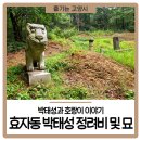 효자동 박태성정려비및묘 네이버블로그