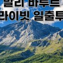스마트투어여행사 이미지