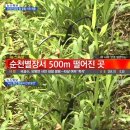 세모안경 이미지