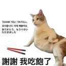 세븐일레븐 진주호탄공원점 | 대만 5박6일 자유여행 :: DAY➊ 타이베이 - 융캉제, 라뜰리에 루터스, 까오지, 우스란, 중정기념당