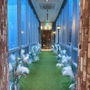 더파티하우스 이미지