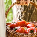 정말농장 이미지