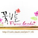 JTBC "국정원 해명과 달리 17척 가운데 세월호만 국정원에 보고" 이미지