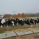 가사목장 이미지