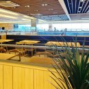 쿠우쿠우여수점 | 여수뷔페 쿠우쿠우 여수점 다녀온 후기