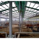 대산가축 이미지