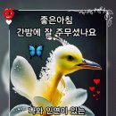 구산보건지소 Daum카페