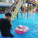 논산관광농원워터랜드