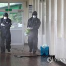 대전느리울초교 이미지