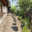 반죽동그곳