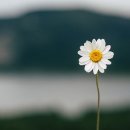 유성대로1689번길 이미지