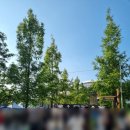 드림존 PC방 이미지