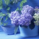포근히 - 정읍시 중앙로 107 | 포근히
