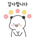 보성백록다원 이미지