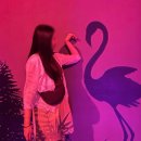 <여수 아르떼뮤지엄>핑크문 페스타 관람 소요시간+선물 이벤트 공유
