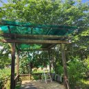 송이펜션 이미지