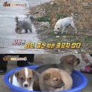 희대농장 이미지