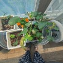 재봉기초 이미지