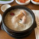 신사샤르망에스 이미지