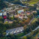 별이애견 이미지