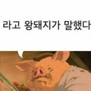 어라이크 이미지