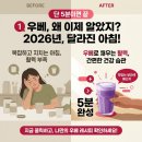 대해웰빙마트 | 보라색 마 우베 파우더 복용법, 요즘 핫한 이유와 직접 먹어보며 비교해 본 솔직 후기