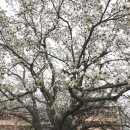 석교초등학교 이미지