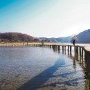 동해시장(도시정비과장) 이미지