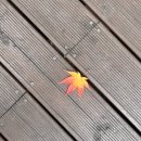 여성 전용 사우나 | 강남 서초 찜질방 스파레이 노천탕이 있는 24시 여성전용 사우나 후기