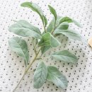 녹색플라워 이미지