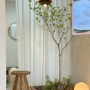 더포레스트하소로 이미지