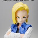 S.H.Figuarts [혼웹한정] 드래곤볼 Z - 인조인간 18호 6월 상품~! 이미지