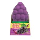 GS25 송산포도 | GS25 프로즌 포도 소르베 내돈내산 후기 (ft. 초코 코팅이 아쉽다)