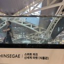 유한회사 스위트베이커리 | 강남 폼폼푸린 베이커리 카페 주말 웨이팅, 메뉴, 굿즈 후기